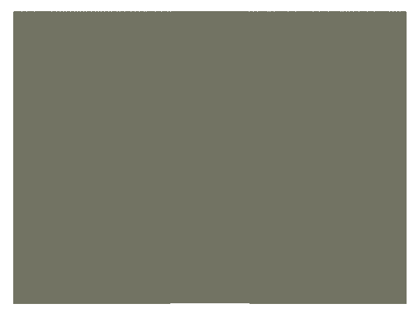 Панели для отделки стен Панель Эмаль. Цвет Ясень оливковый тёмный. Материал Структурная эмаль. Коллекция Эмаль. Картинка.